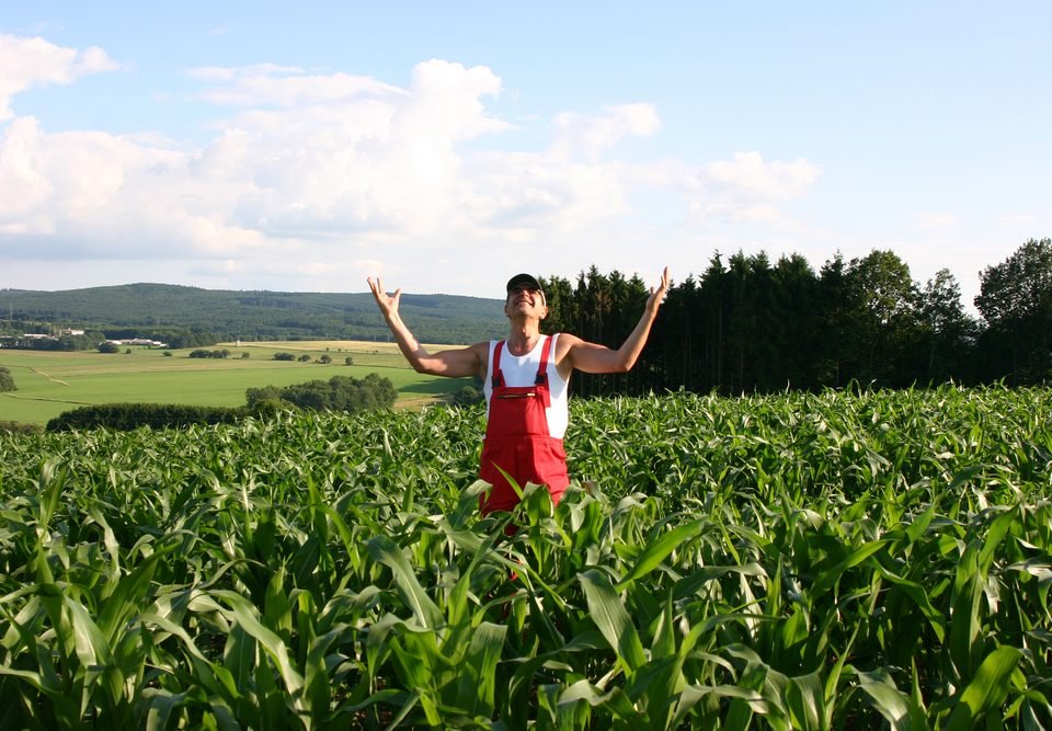 Παράταση υποβολής της Ενιαίας Αίτησης Ενίσχυσης και των Αιτήσεων Μεταβίβασης Δικαιωμάτων Βασικής Ενίσχυσης έτους 2018